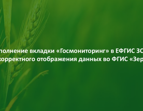 Скрин презентации о заполнении вкладки "Госмониторинг" в ЕФГИС ЗСН