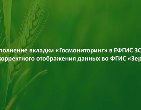 Скрин презентации о заполнении вкладки "Госмониторинг" в ЕФГИС ЗСН