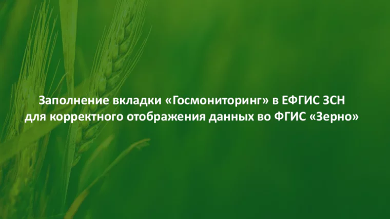Скрин презентации о заполнении вкладки "Госмониторинг" в ЕФГИС ЗСН