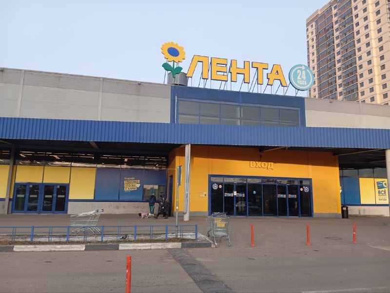 лента