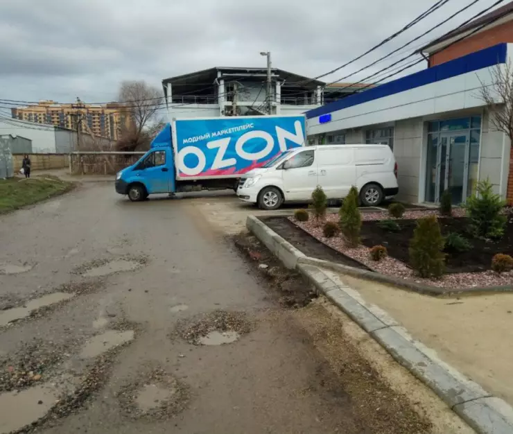 озон 1024x768 1