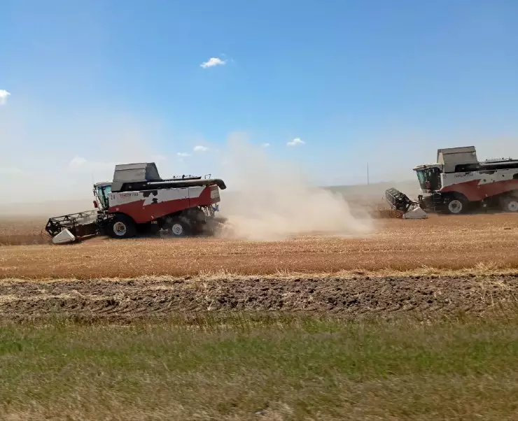 зерно предостережения