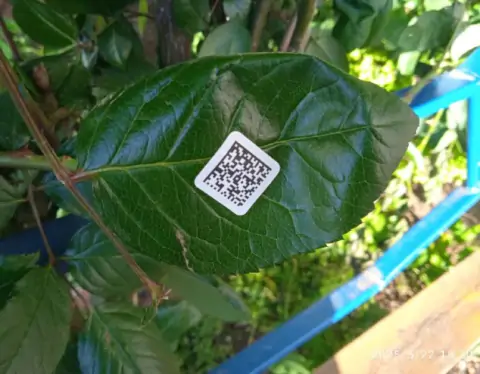 5357285237593339215 1