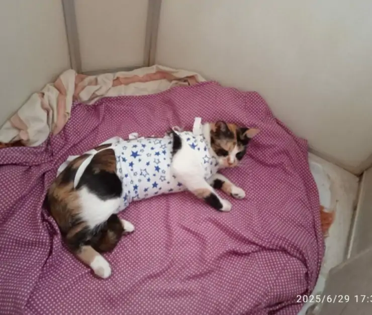 5406681974292214809 1024x768 1