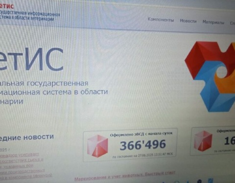 5409150317767033104 e1751281655198 1