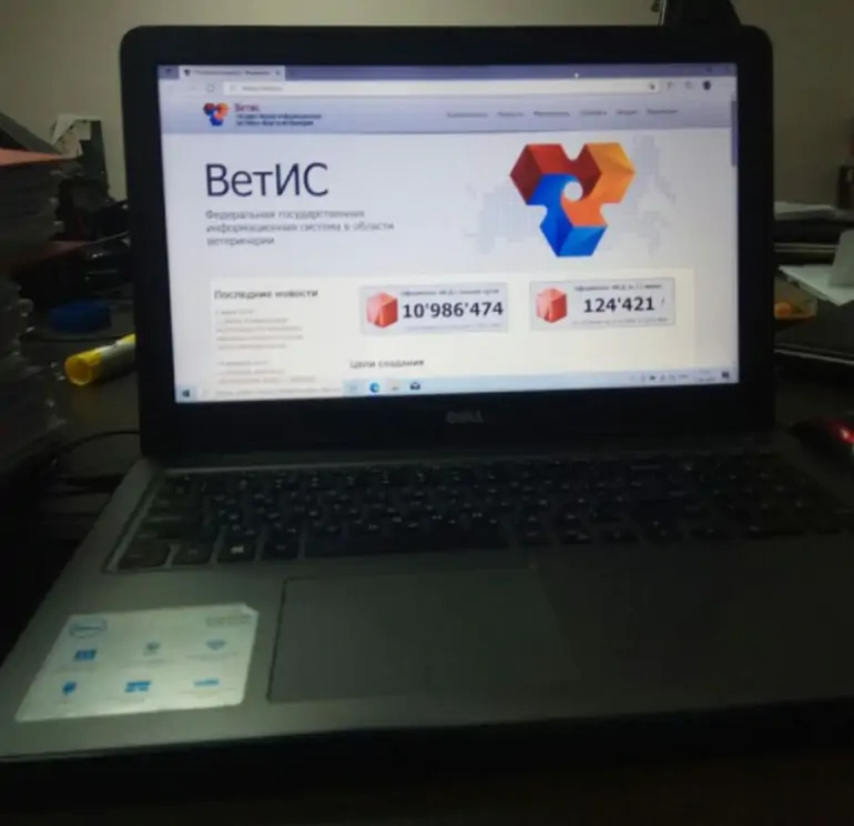 5440783533586112115 1024x768 1