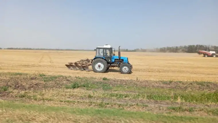 5451706378449188805 1 1024x771 1