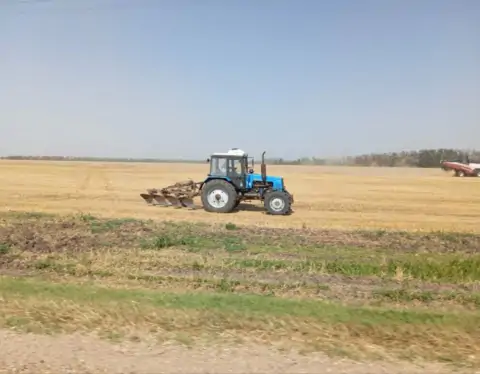 5451706378449188805 1024x771 1