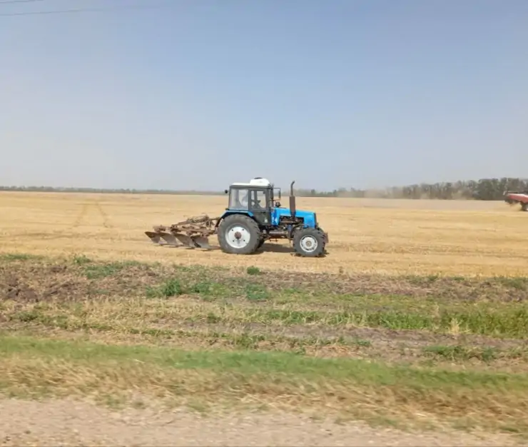 5451706378449188805 1024x771 1