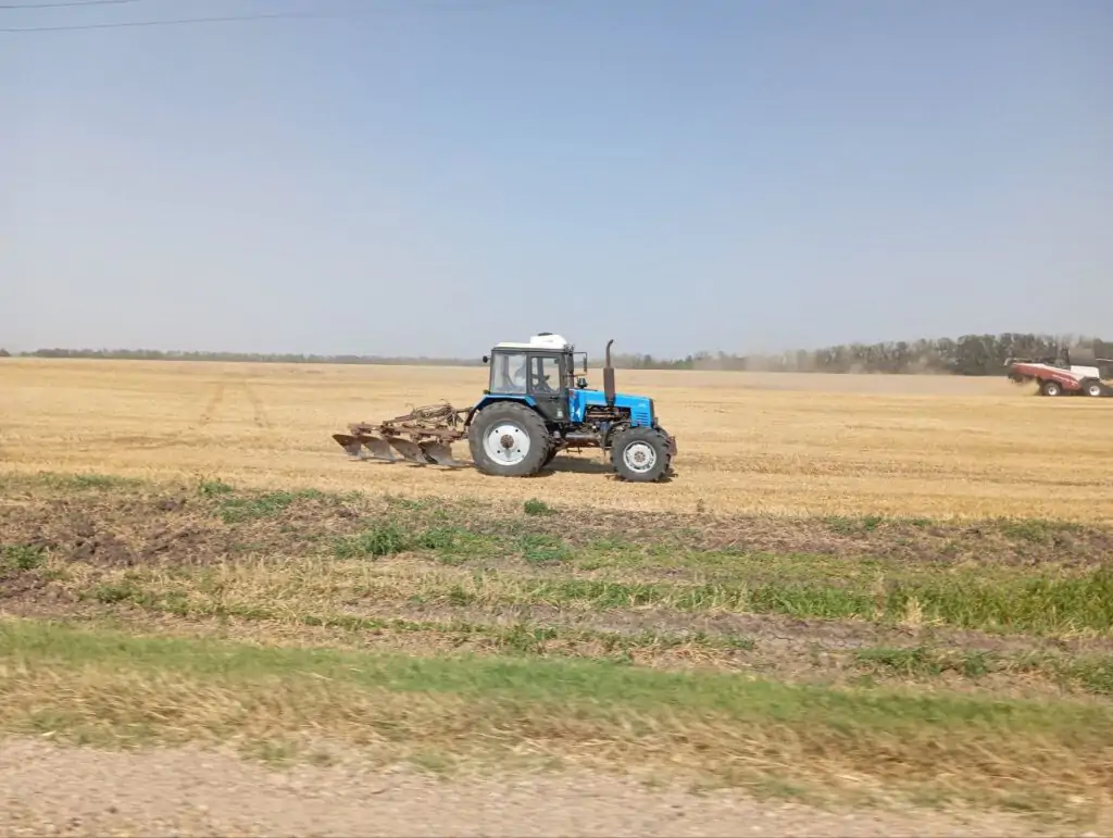 5451706378449188805 1024x771 1