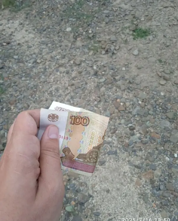 5222053987505798277 2