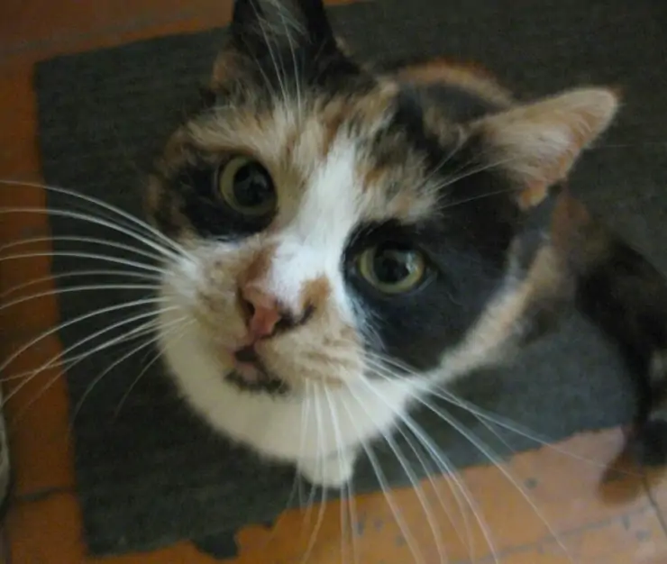 5282749730893460681 1024x768 1