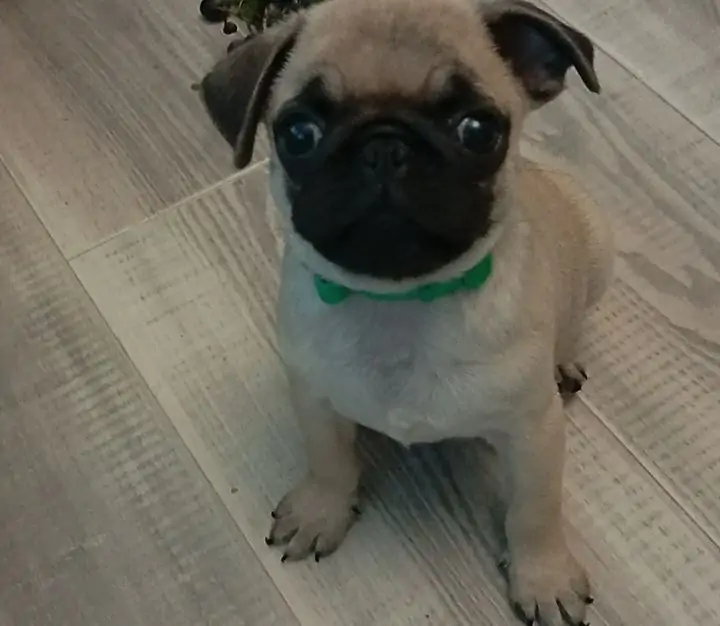 5298803700170618519 e1756708653384