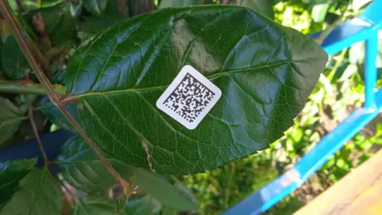 5357285237593339215 3