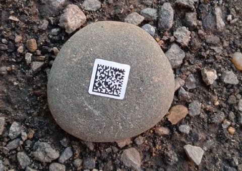 5357285237593339217 2
