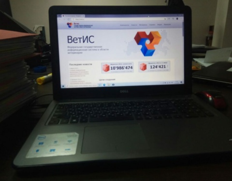 5440783533586112115 1024x768 2