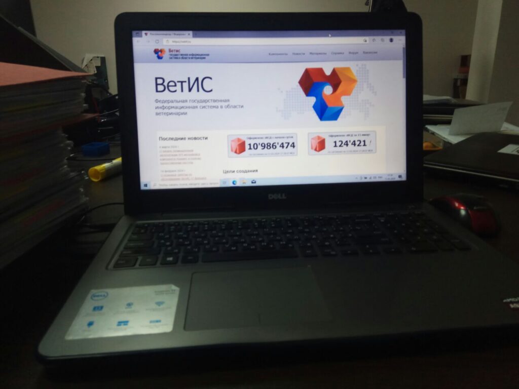 5440783533586112115 1024x768 2