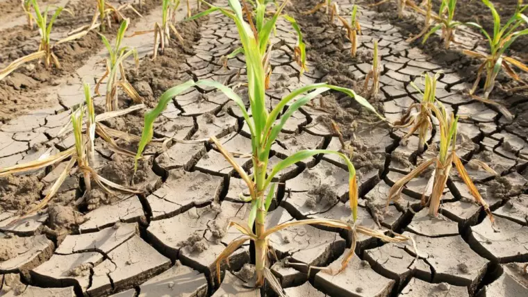 фото сделано с помощью gigachat_bot