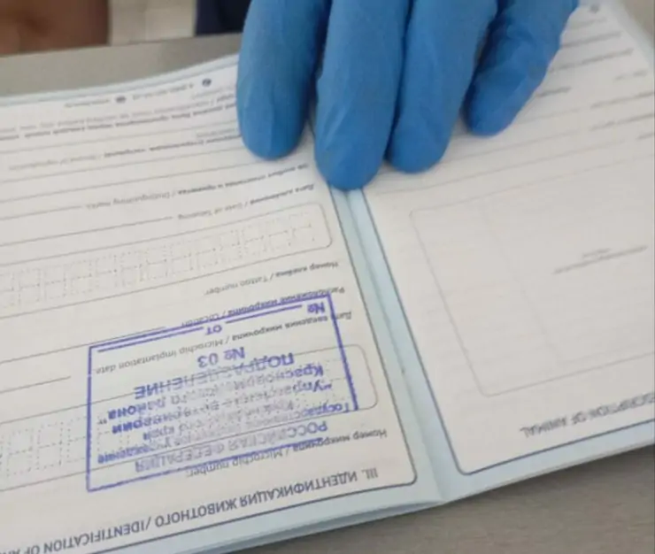 5298803700170617956 771x1024 1