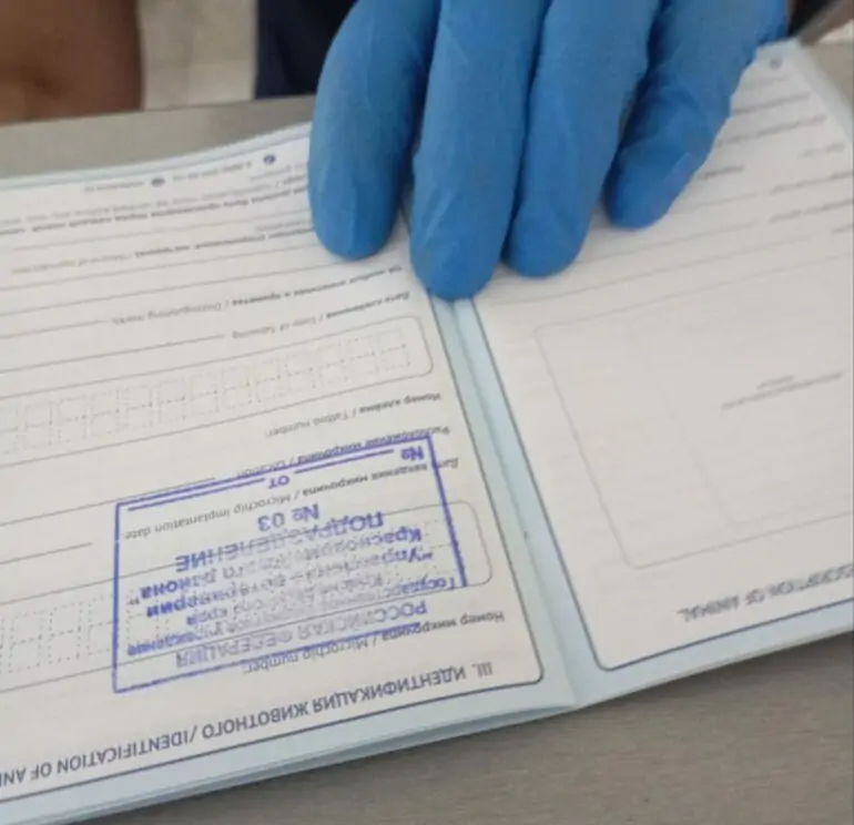 5298803700170617956 771x1024 1