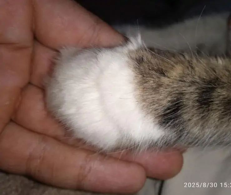 5312154661844813058 1024x768 1