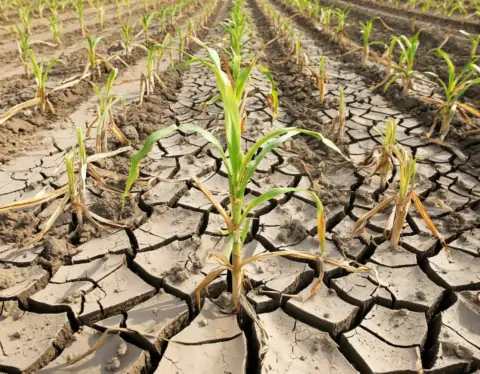 фото сделано с помощью gigachat_bot