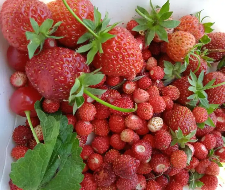 5377587608131066848 1024x768 1