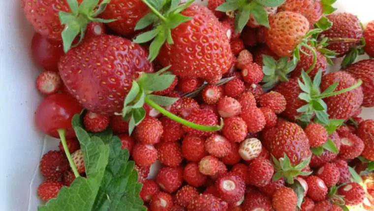 5377587608131066848 1024x768 1