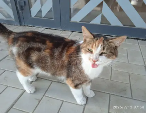 5444877243009596106 1024x768 1