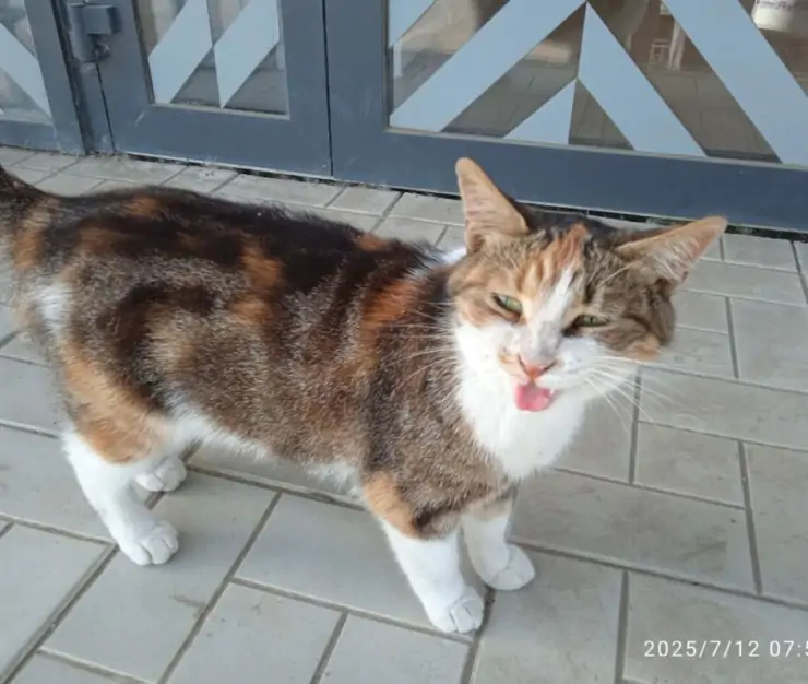 5444877243009596106 1024x768 1