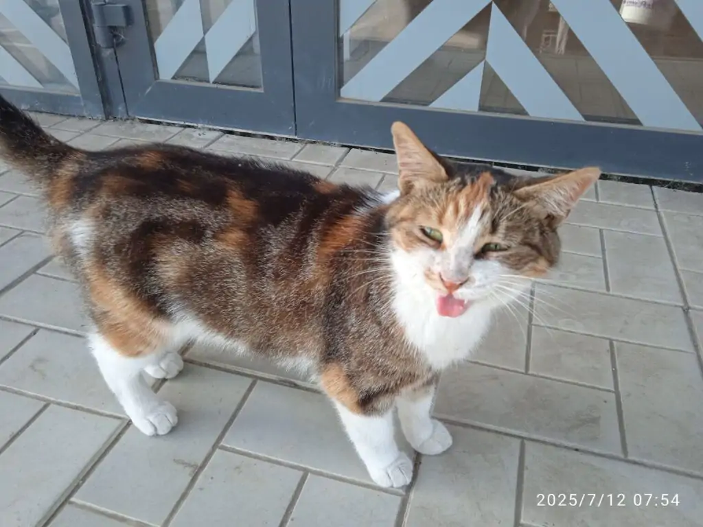 5444877243009596106 1024x768 1