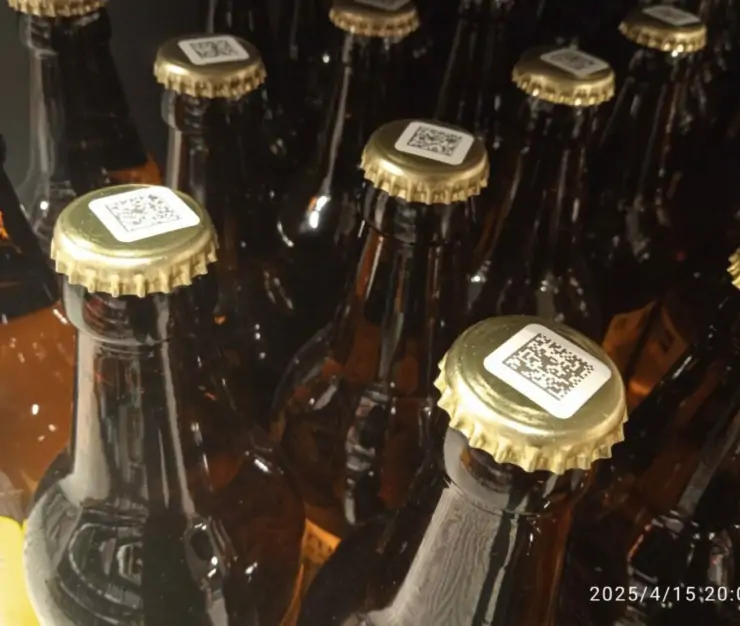 5472429252055003887 1024x768 1