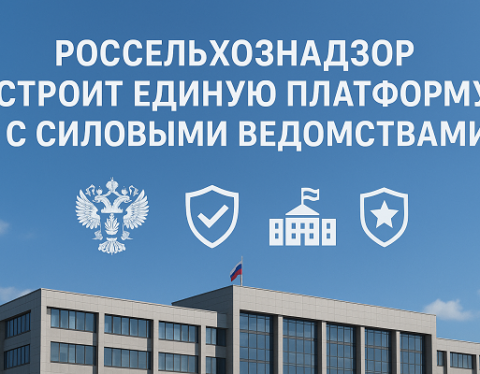 изображение сделано с помощью chatgpt