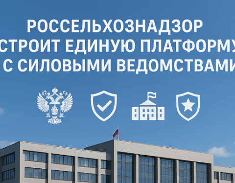 изображение сделано с помощью chatgpt
