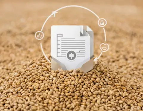 фото сделано с помощью gigachat_bot