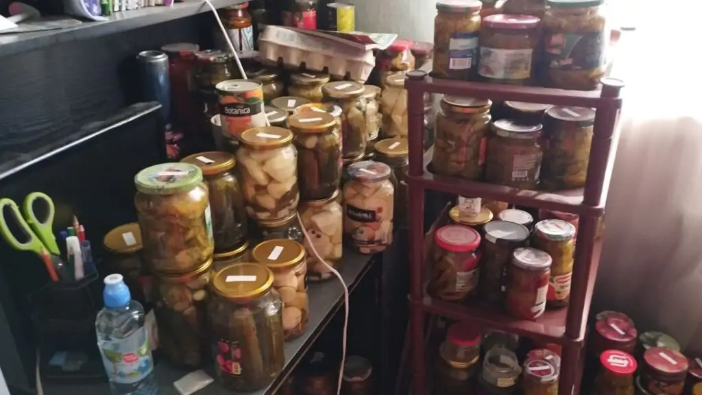 5359318934672768953 1024x576 1