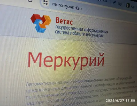 5409150317767033105 7