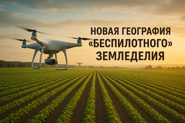 изображение сделано с помощью https://chatgpt.com