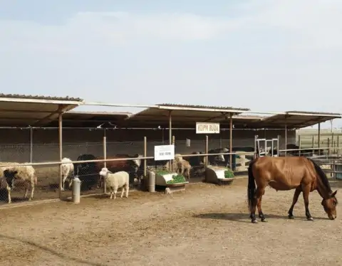 фото сделано с помощью gigachat_bot