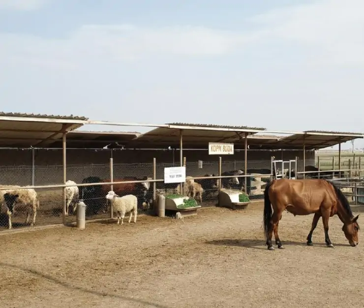 фото сделано с помощью gigachat_bot