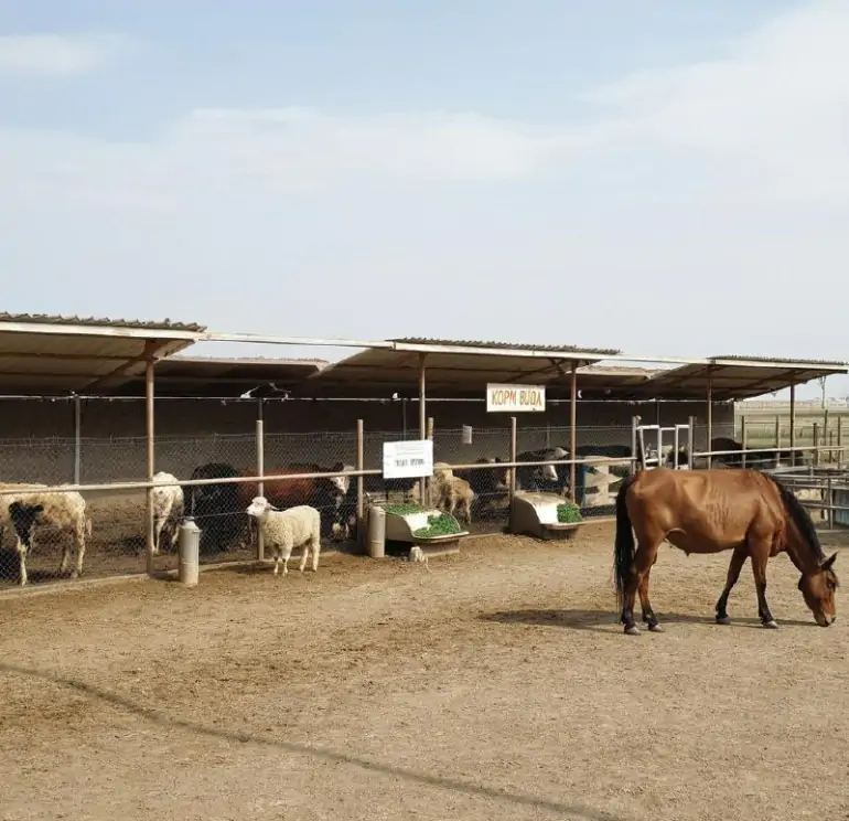 фото сделано с помощью gigachat_bot