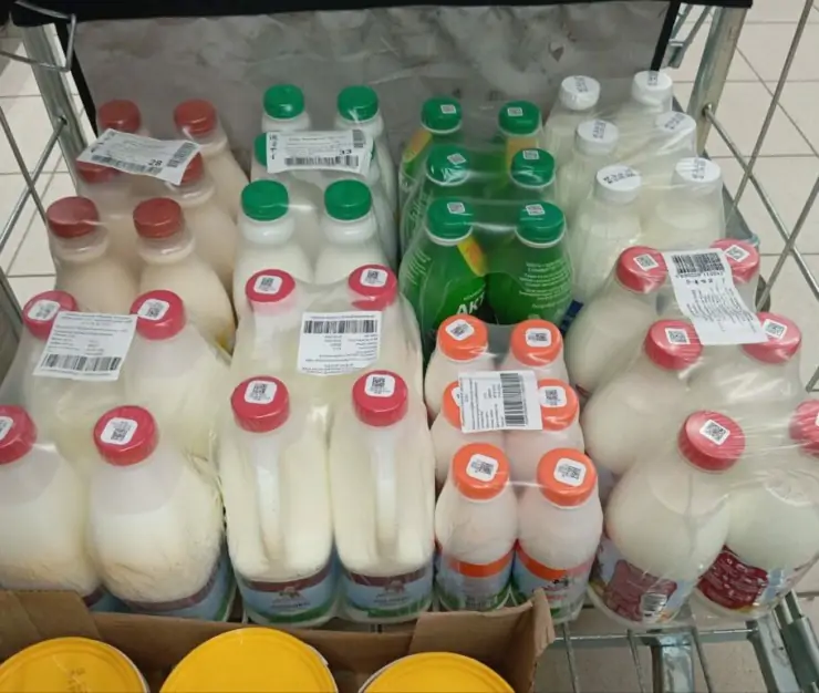 5332584962278423259 1024x771 1