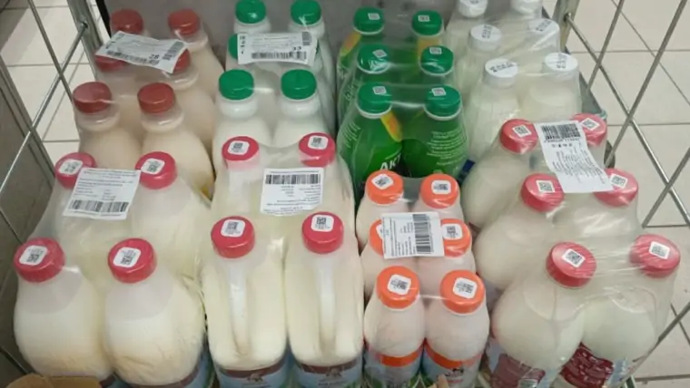 5332584962278423259 1024x771 1