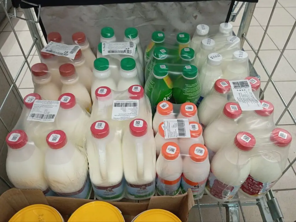 5332584962278423259 1024x771 1