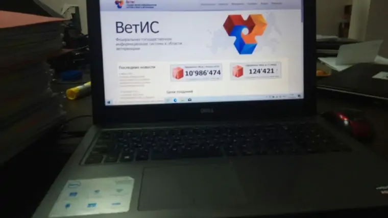 5440783533586112115 1024x768 3