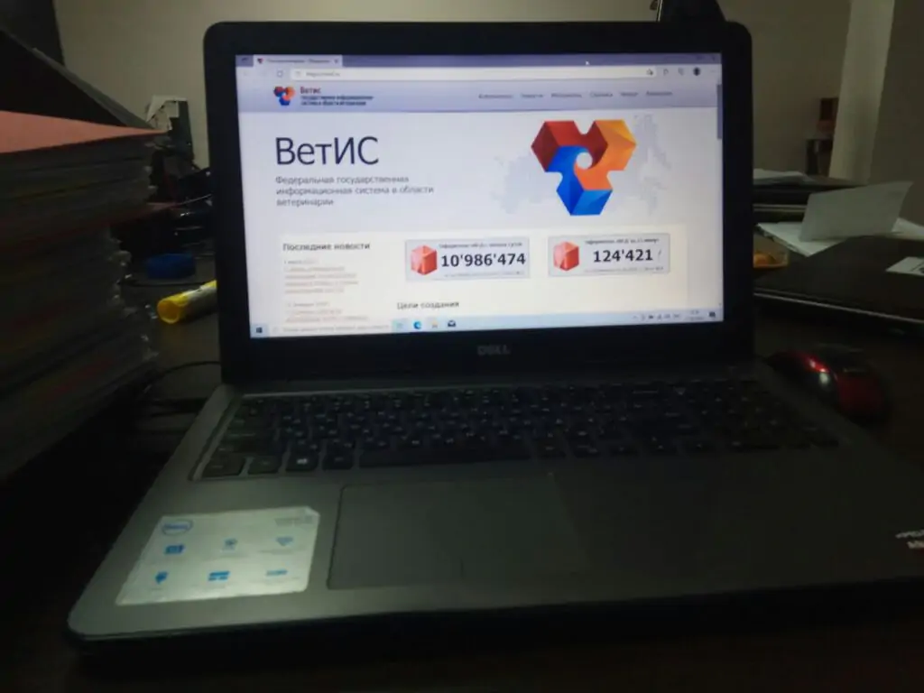 5440783533586112115 1024x768 3