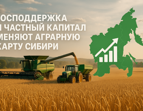 изображение сделано с помощью https://chatgpt.com