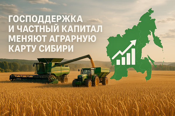 изображение сделано с помощью https://chatgpt.com