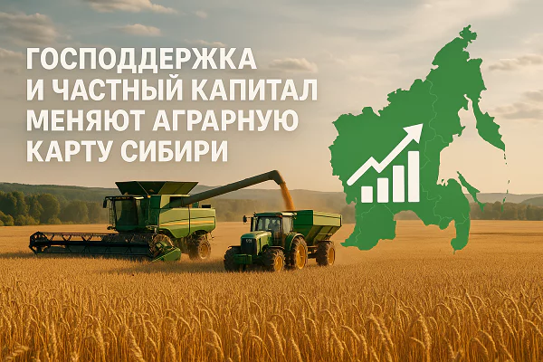 изображение сделано с помощью https://chatgpt.com