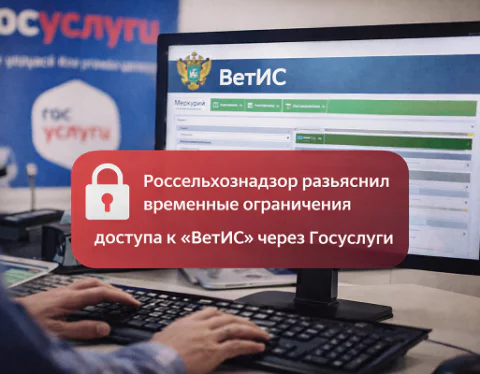 изображение сделано с помощью https://chatgpt.com